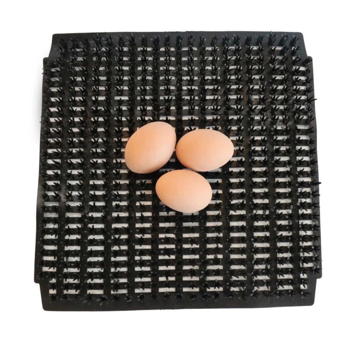 LITTLE GIANT | MILLER MANUFACTURING Reusable Poultry Nesting Pads 6/pk