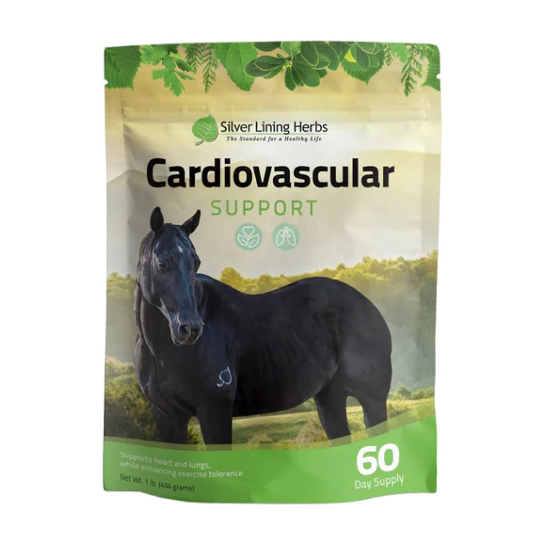 Silver Lining Herbs 39 Endurance / Cardiovascular