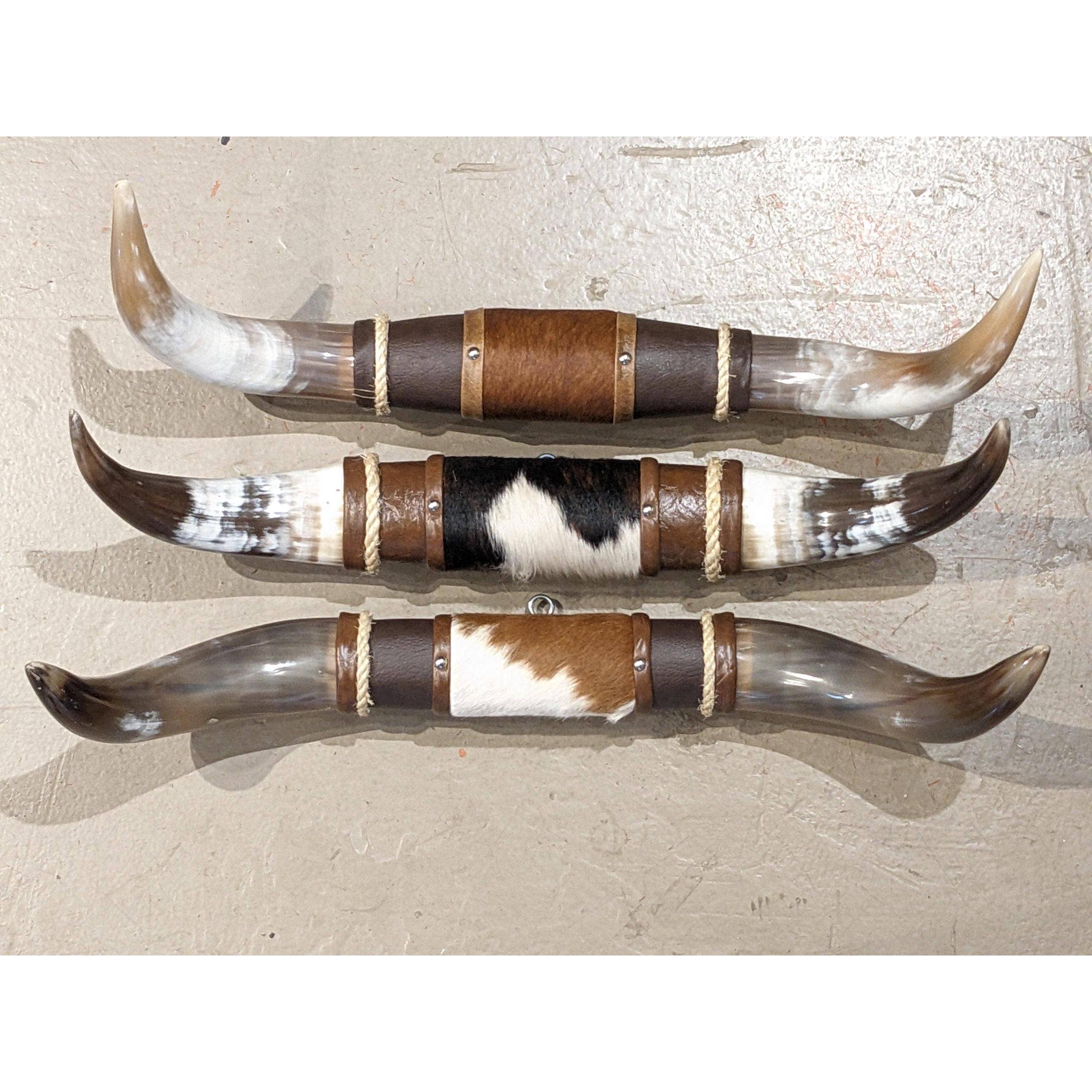 Camino TX - Small Steer Horns