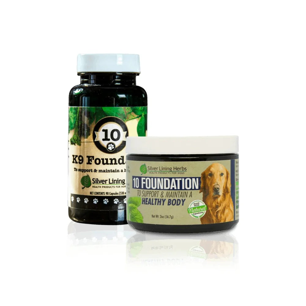 Silver Lining K9 Foundation for Dogs 90 Tabs