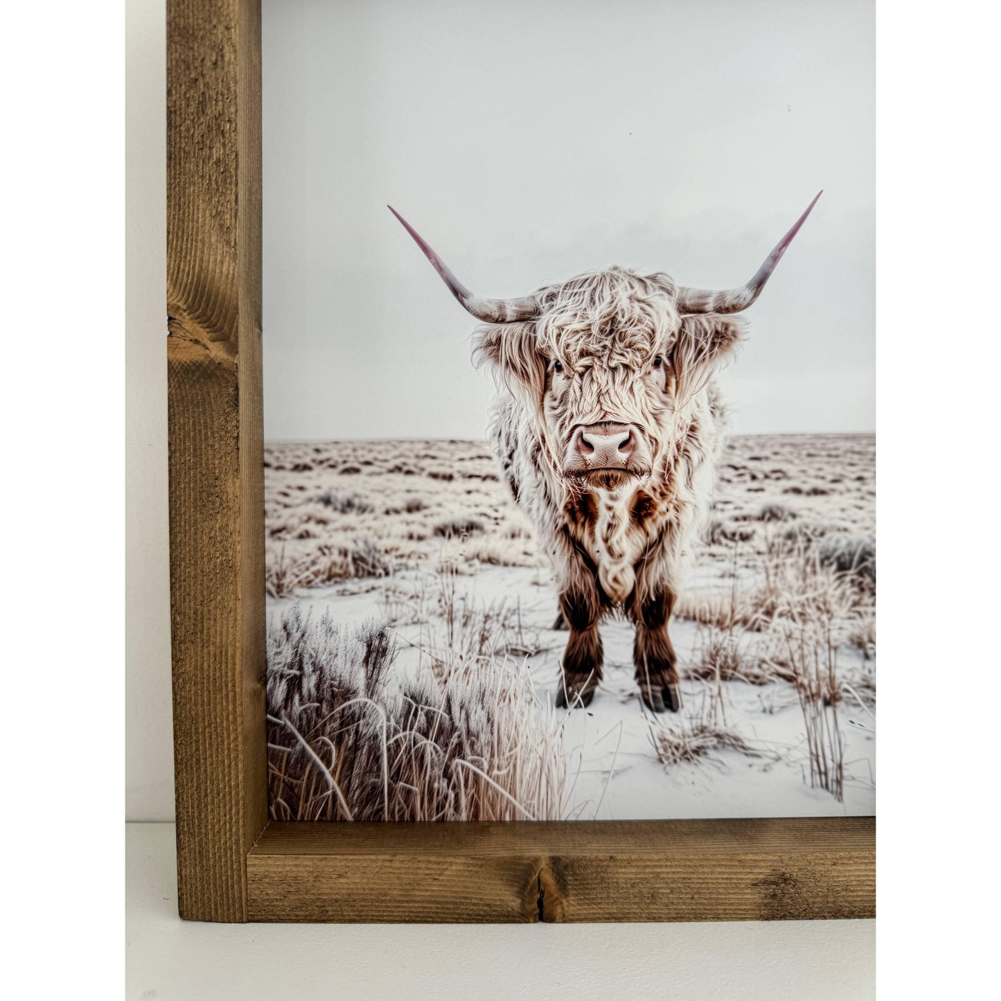 Ashwood Designs - Highland Cow print 2