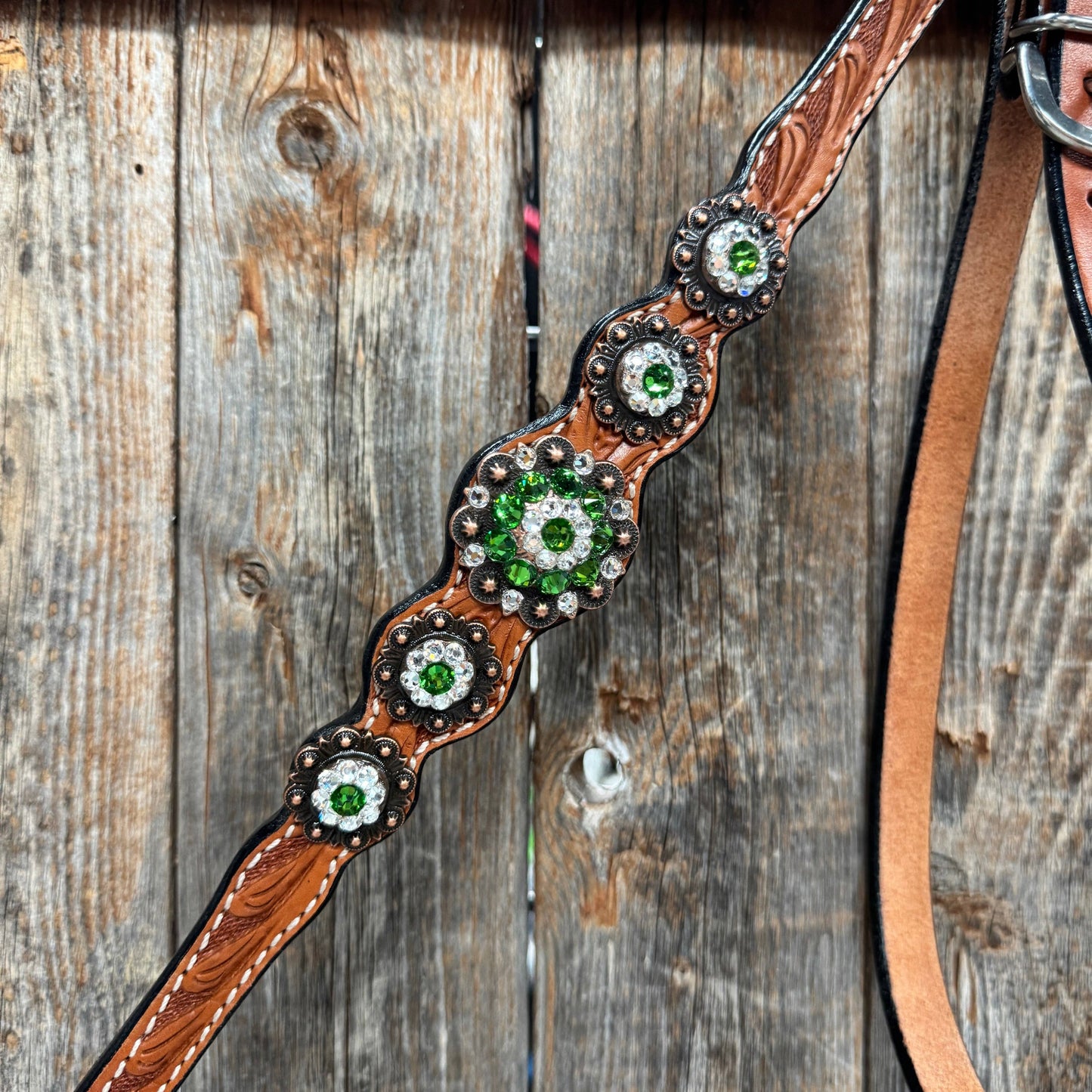 Rodeo Drive - Light Oil Floral Fern, Clear Browband/One Ear Breastcollar Tack Set #BBBC677