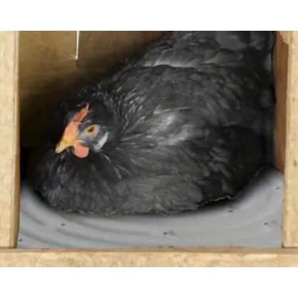 Washable Nesting Pads