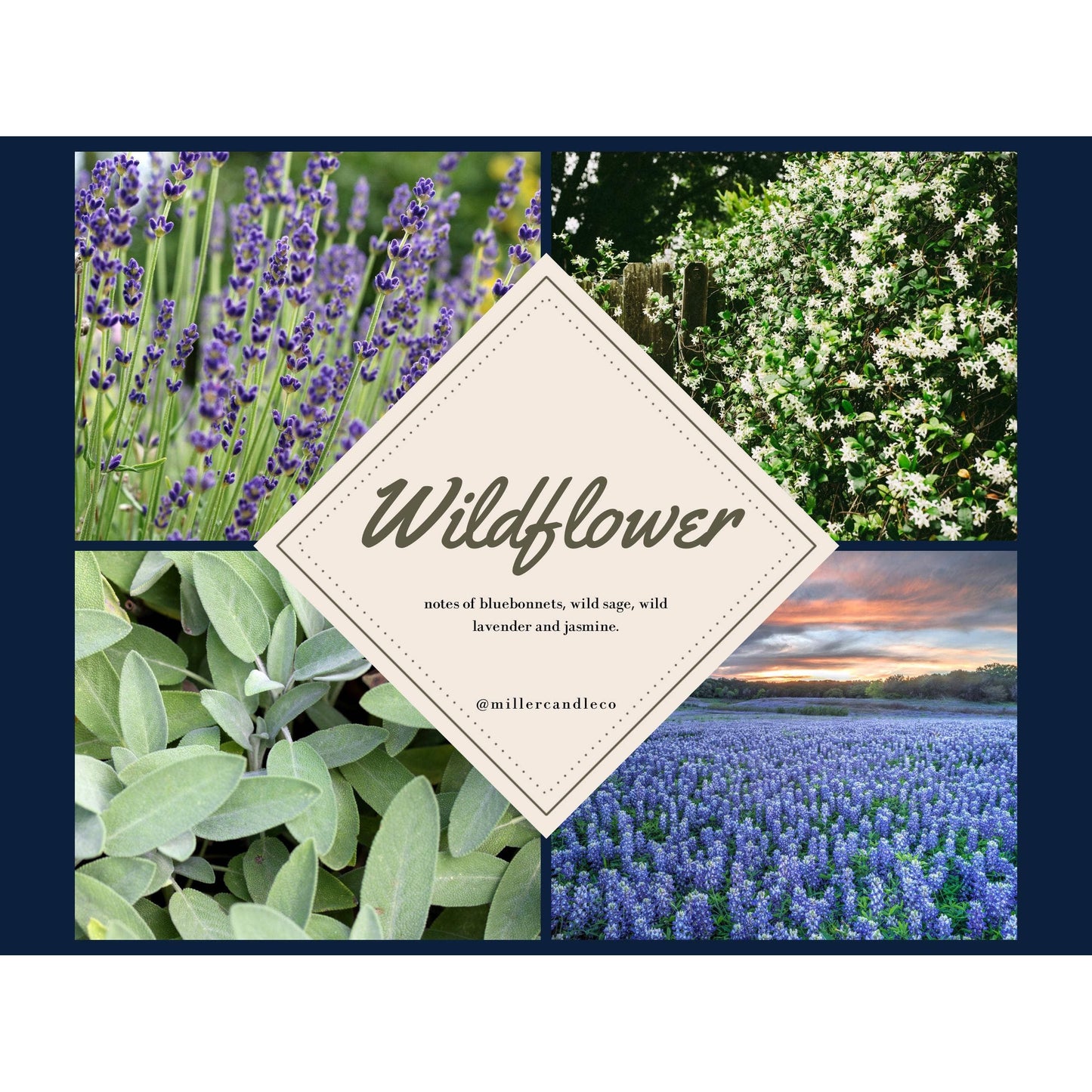 Women’s Western Roll on Perfumes