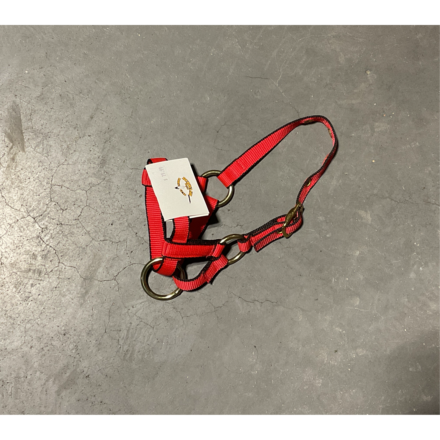 Burwash Halter -Alpaca RED