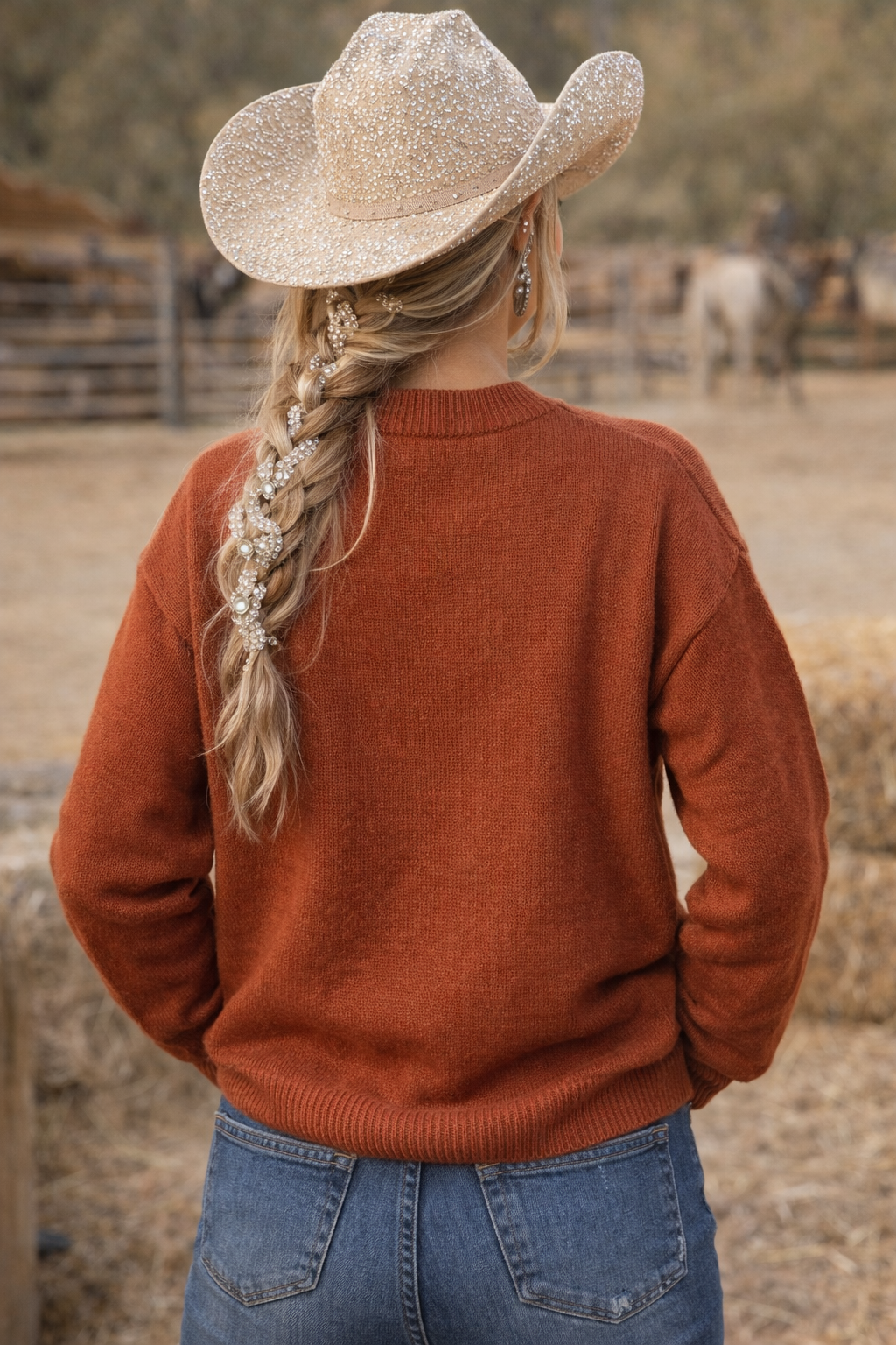 Rock & Roll Horse and Aztec Burnt Orange