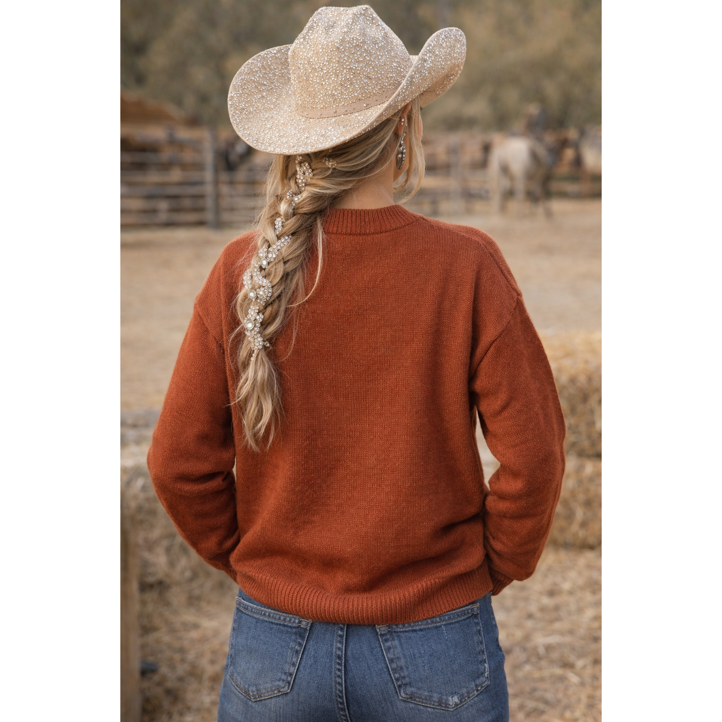 Rock & Roll Horse and Aztec Burnt Orange