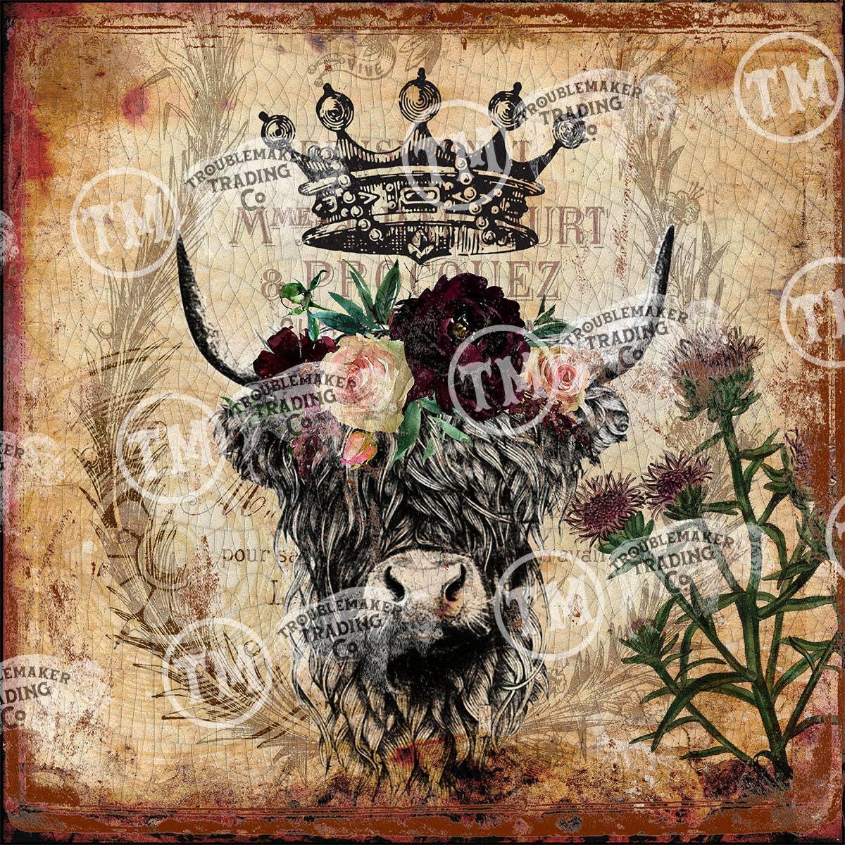 TroubleMaker Trading Company - Highland Cow - Square Artwork