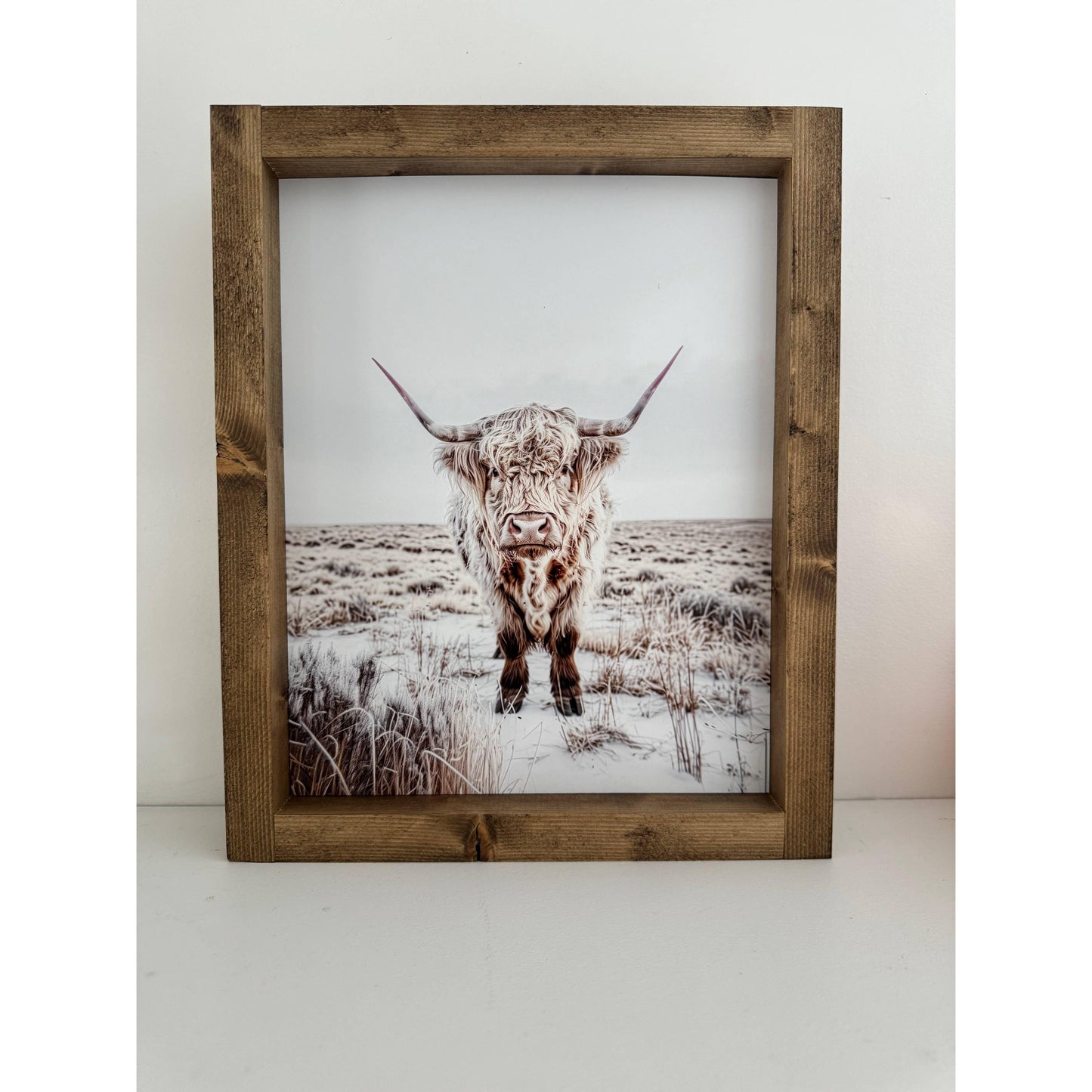 Ashwood Designs - Highland Cow print 2