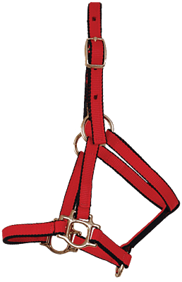 Burwash Ultimate Halter Average Size TBWHUH911