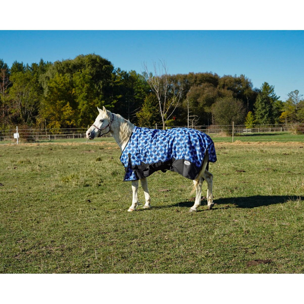 Goliath Blanket Turnout 1200D, 4804BL