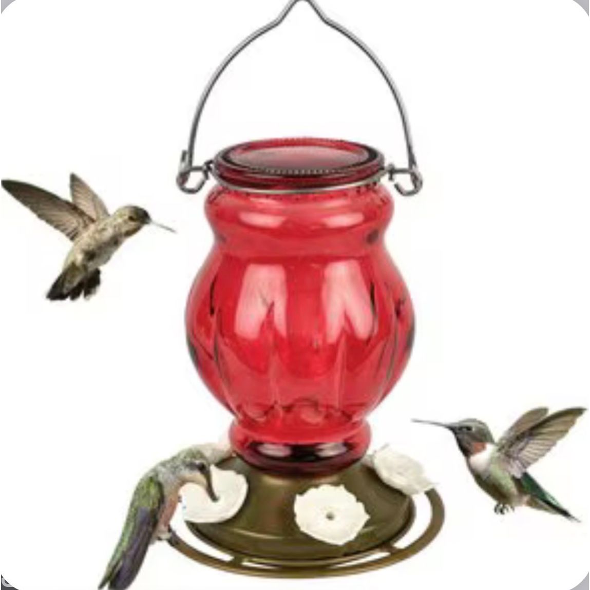 Nature’s Way Nectar Hummingbird Feeder Ribbed Rose 28oz