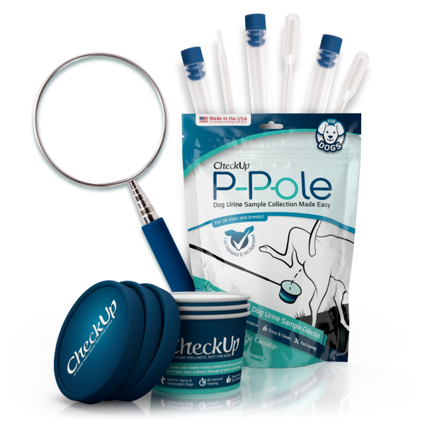 Check Up Dog P-Pole Item #: 508-00322