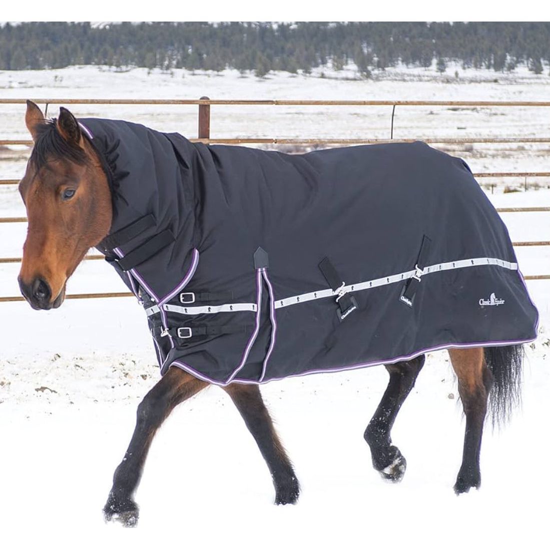 Classic Equine 10k Cross Trainer Hooded Turnout Blanket Black w/ Purple Trim