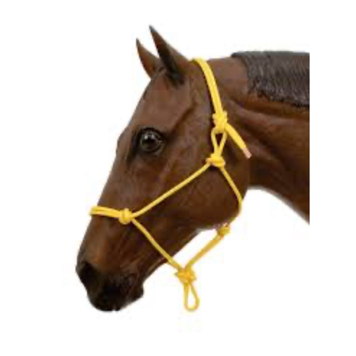 HiBrow Rope Halter