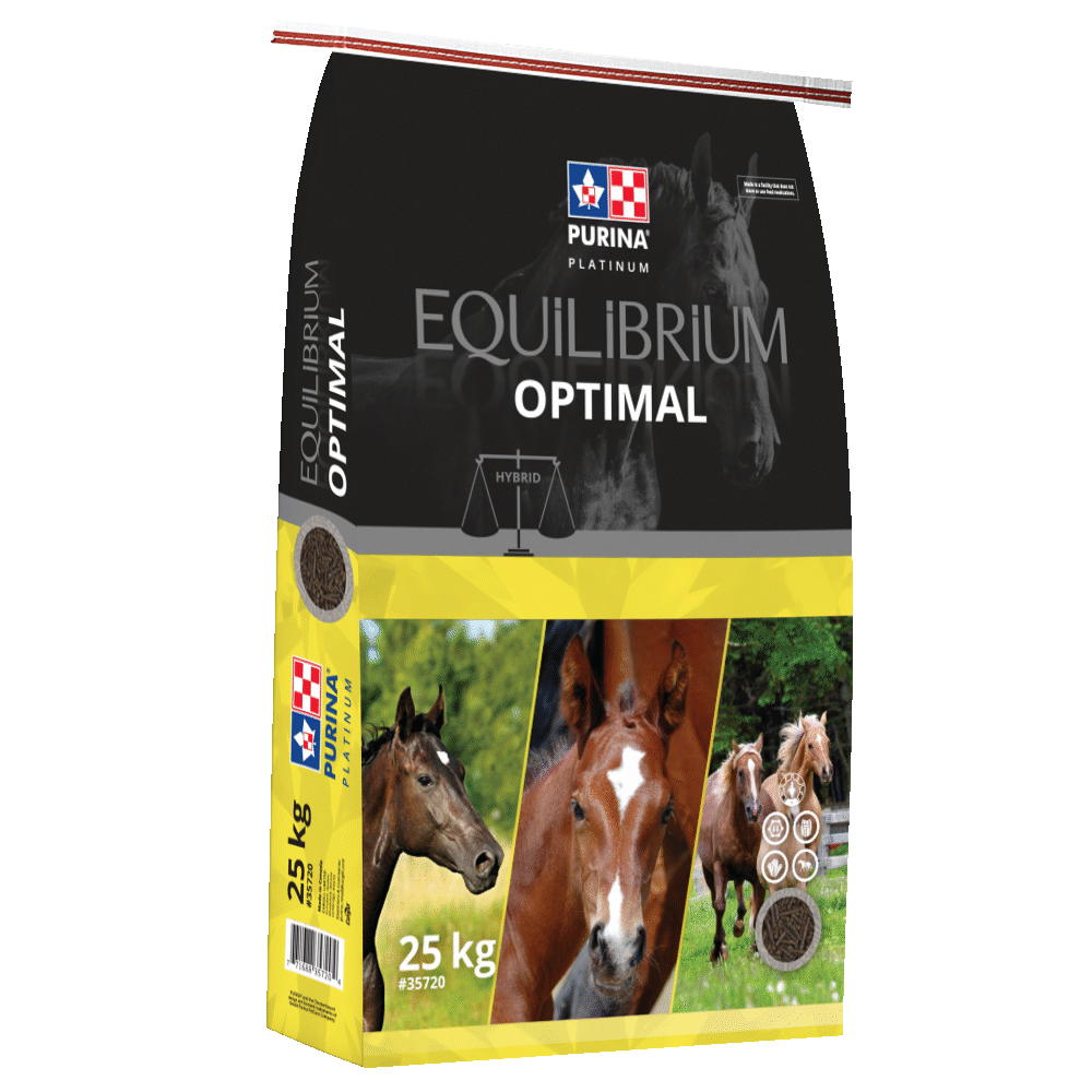 Purina Equilibrium Optimal