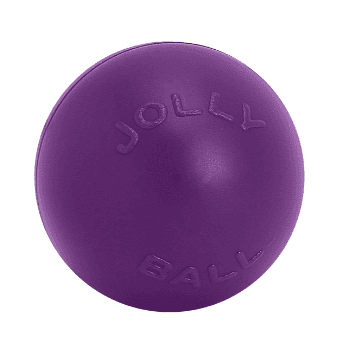 Jolly Pet's Push-N-Play Ball