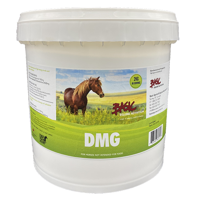 Basic Equine Nutrition DMG 1KG
