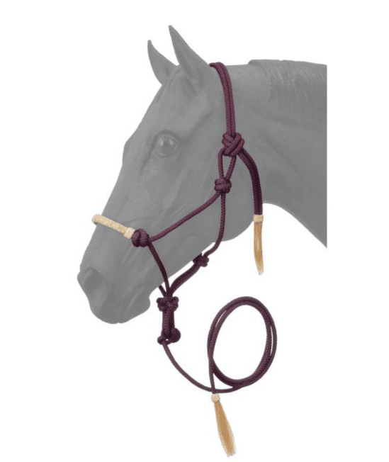 Tough 1-Rawhide Noseband Rope Halter with Lead TJT50-1050
