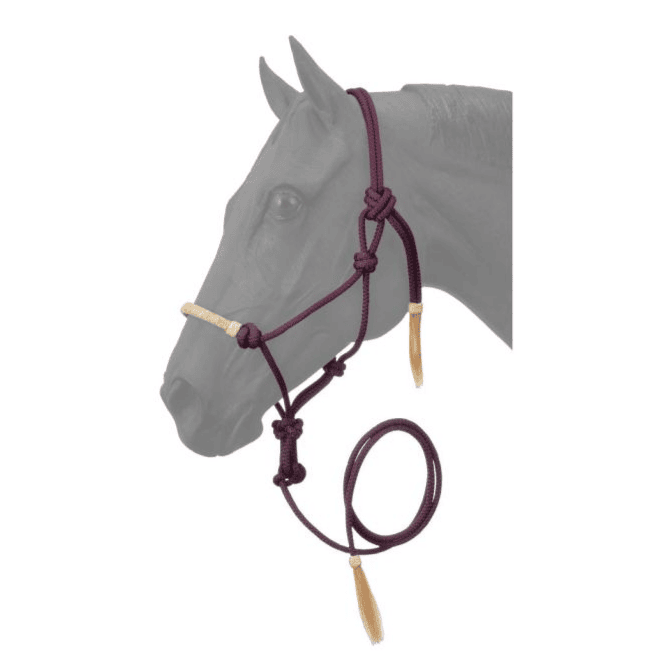 Tough 1-Rawhide Noseband Rope Halter with Lead TJT50-1050
