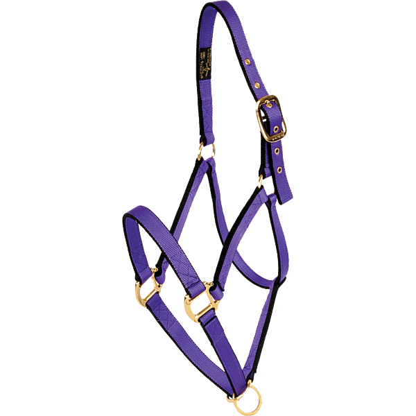 Burwash Ultimate 6 Ring Halter