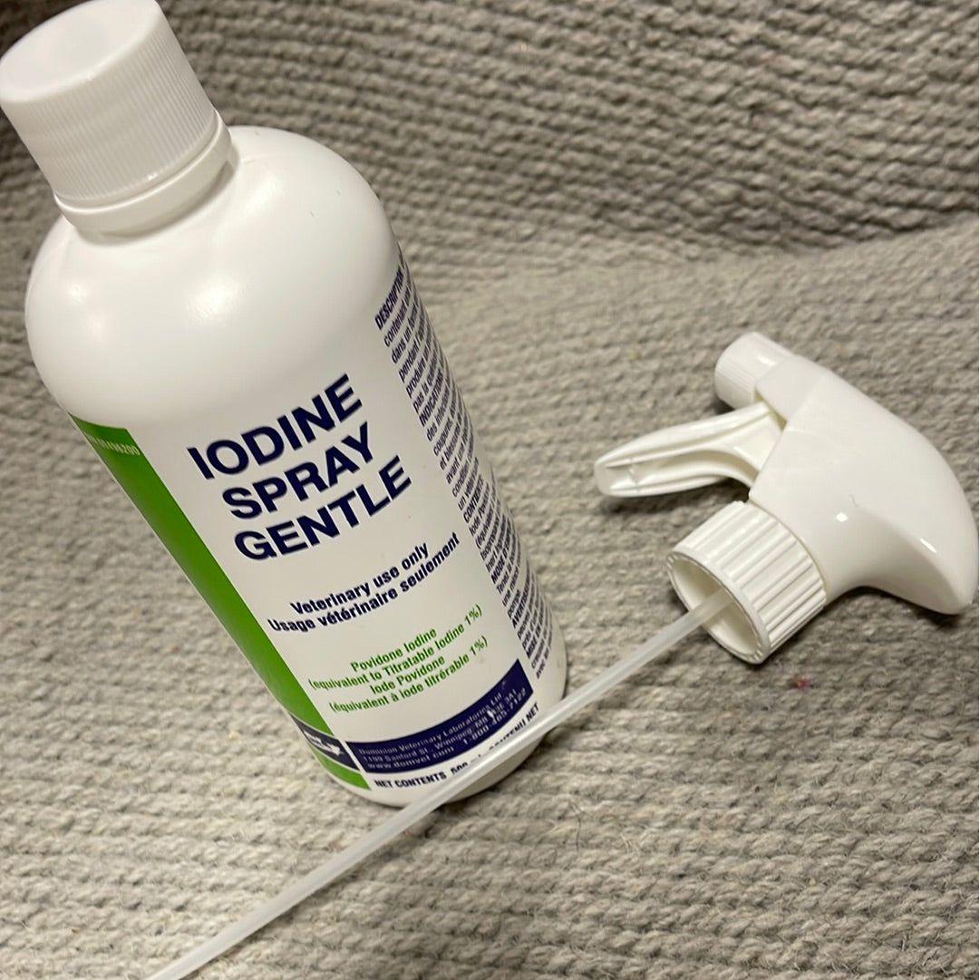 Iodine Spray Gentle