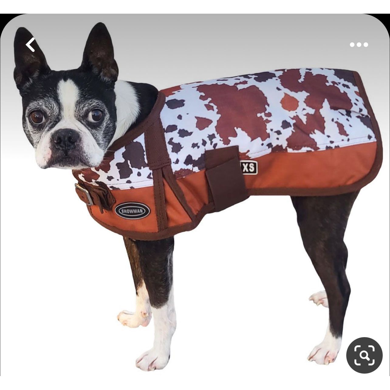 Showman Cow Print Waterproof Dog Blanket - 200 Grams Fill Medium