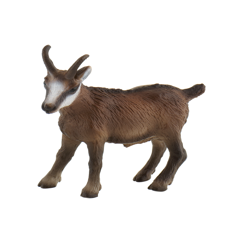 Chamois