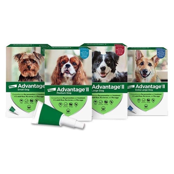 Advantage II 11kg-25kg 2 Dose