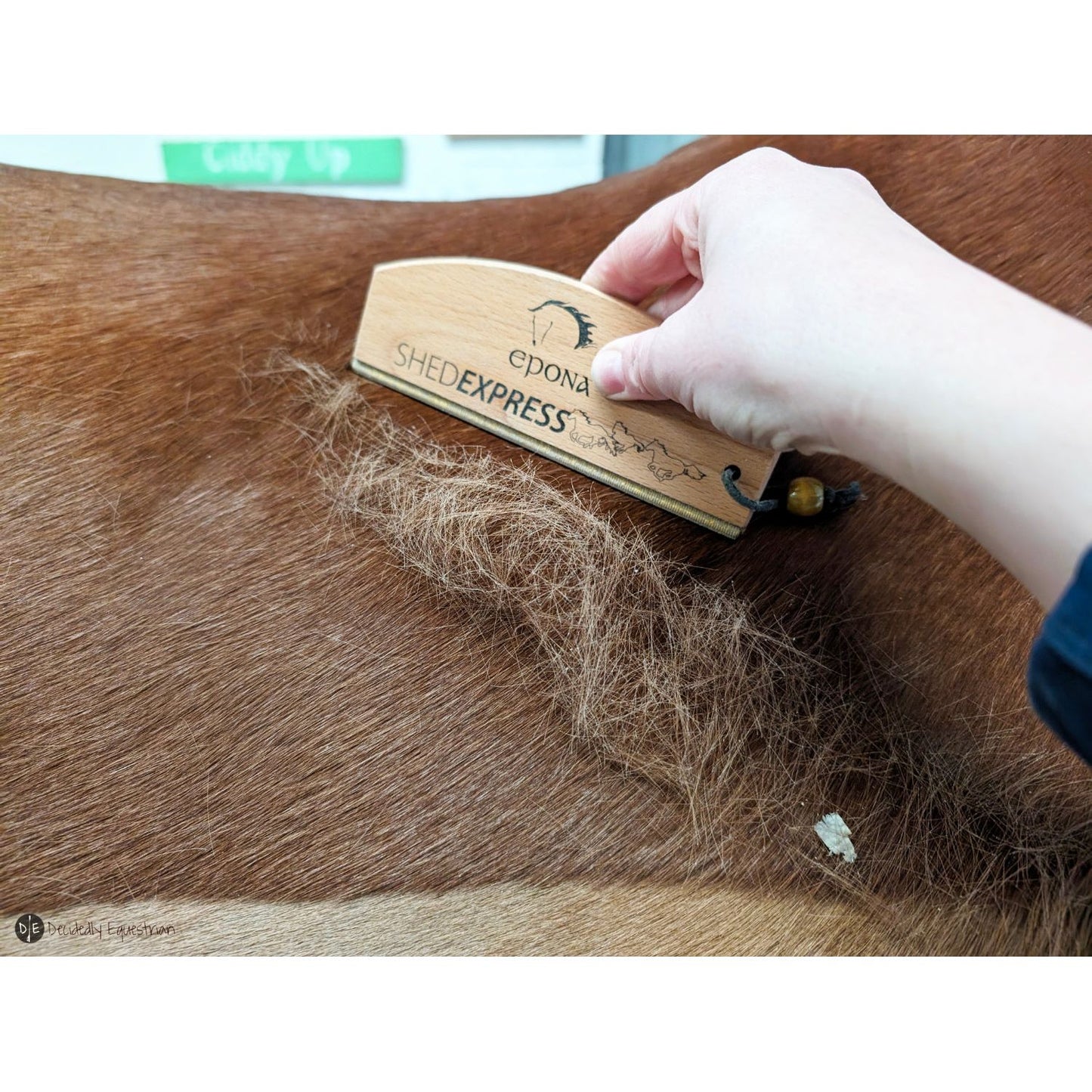 Epona ShedExpress