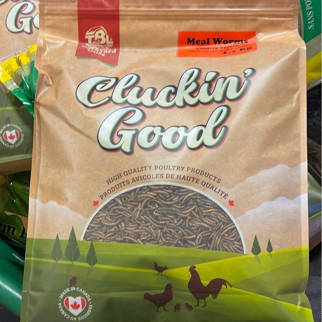 Cluckin Good Mealworms 2.3 KG