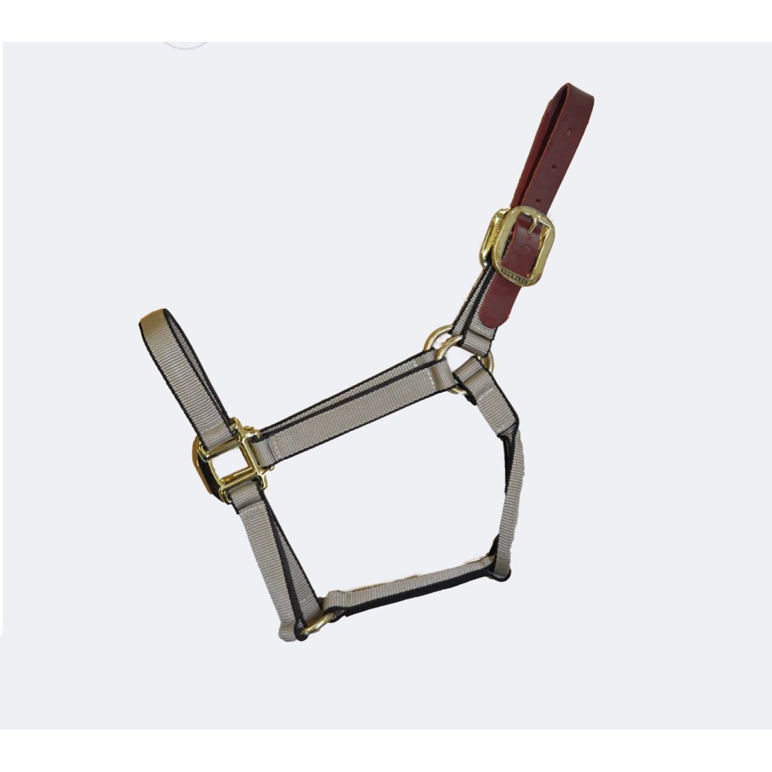Burwash Breakaway Halter Horse