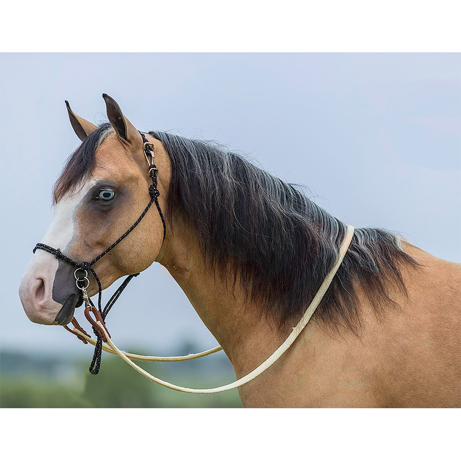 Mustang Manufacturing Black Bitless Halter Bridle