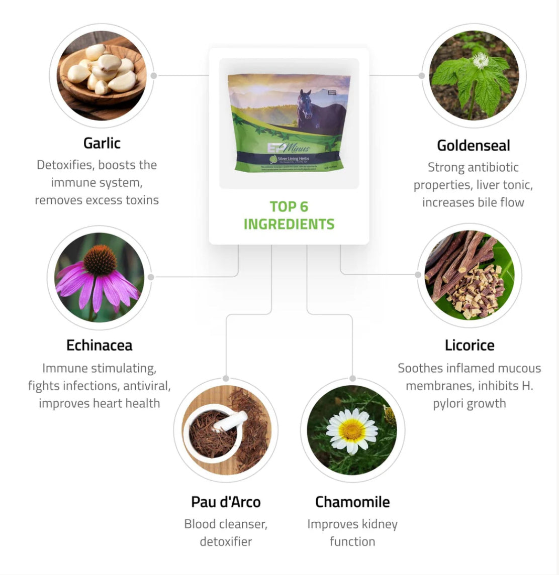 Silver Lining Herbs EP Minus Horse Supplement 4LB