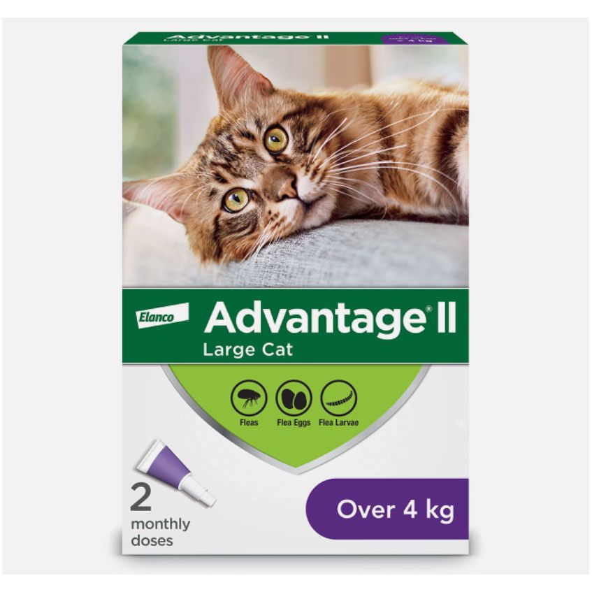 Advantage II >4kg 2 Dose