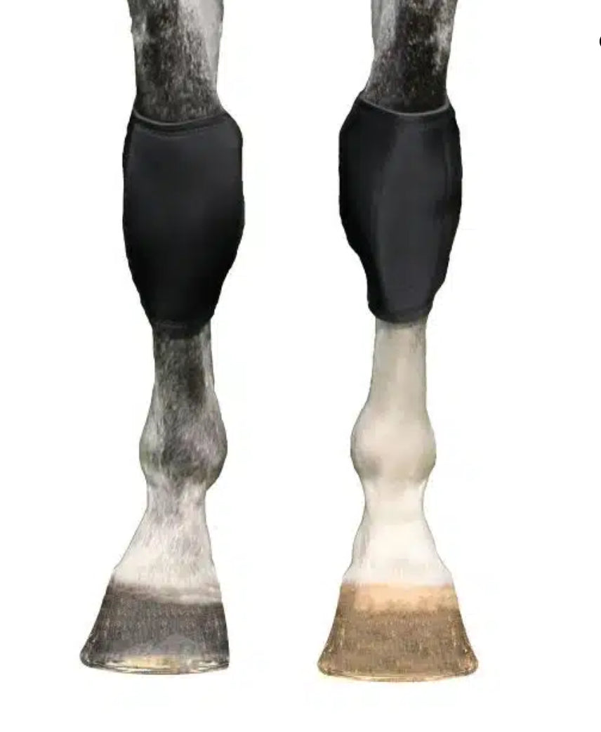 BOT Back On Track, Knee Boot ( Left & Right) 20370004