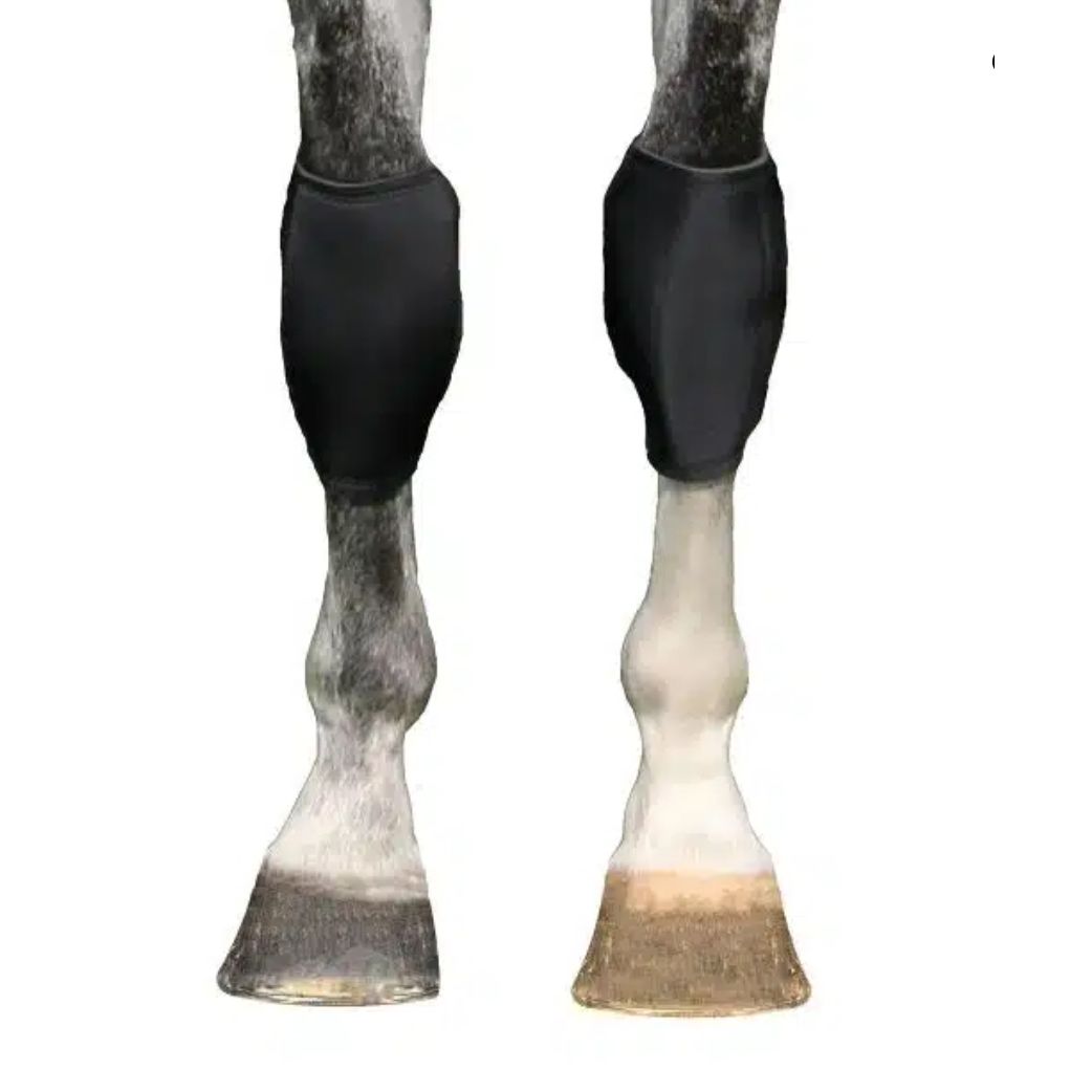 BOT Back On Track, Knee Boot ( Left & Right) 20370004
