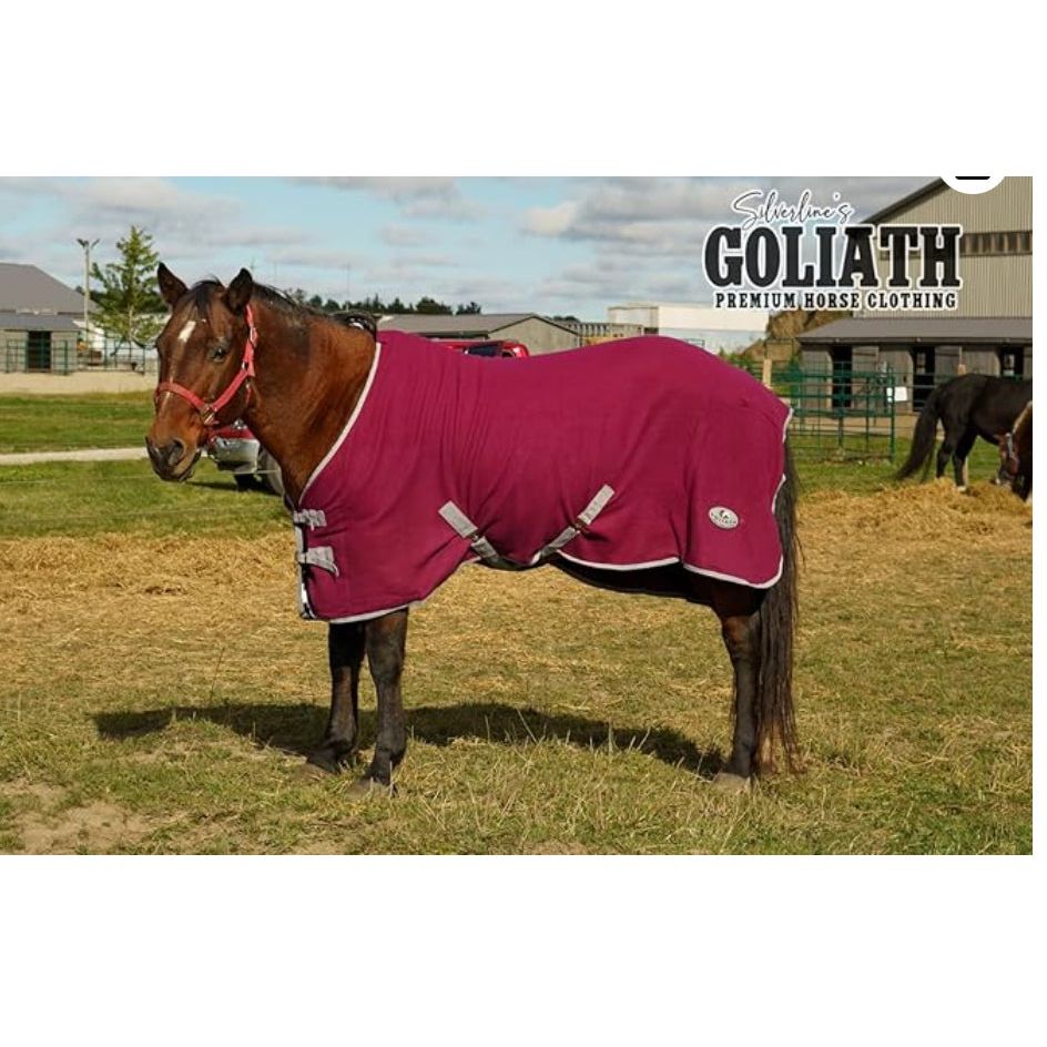 Goliath Cooler Burgundy 420BU72