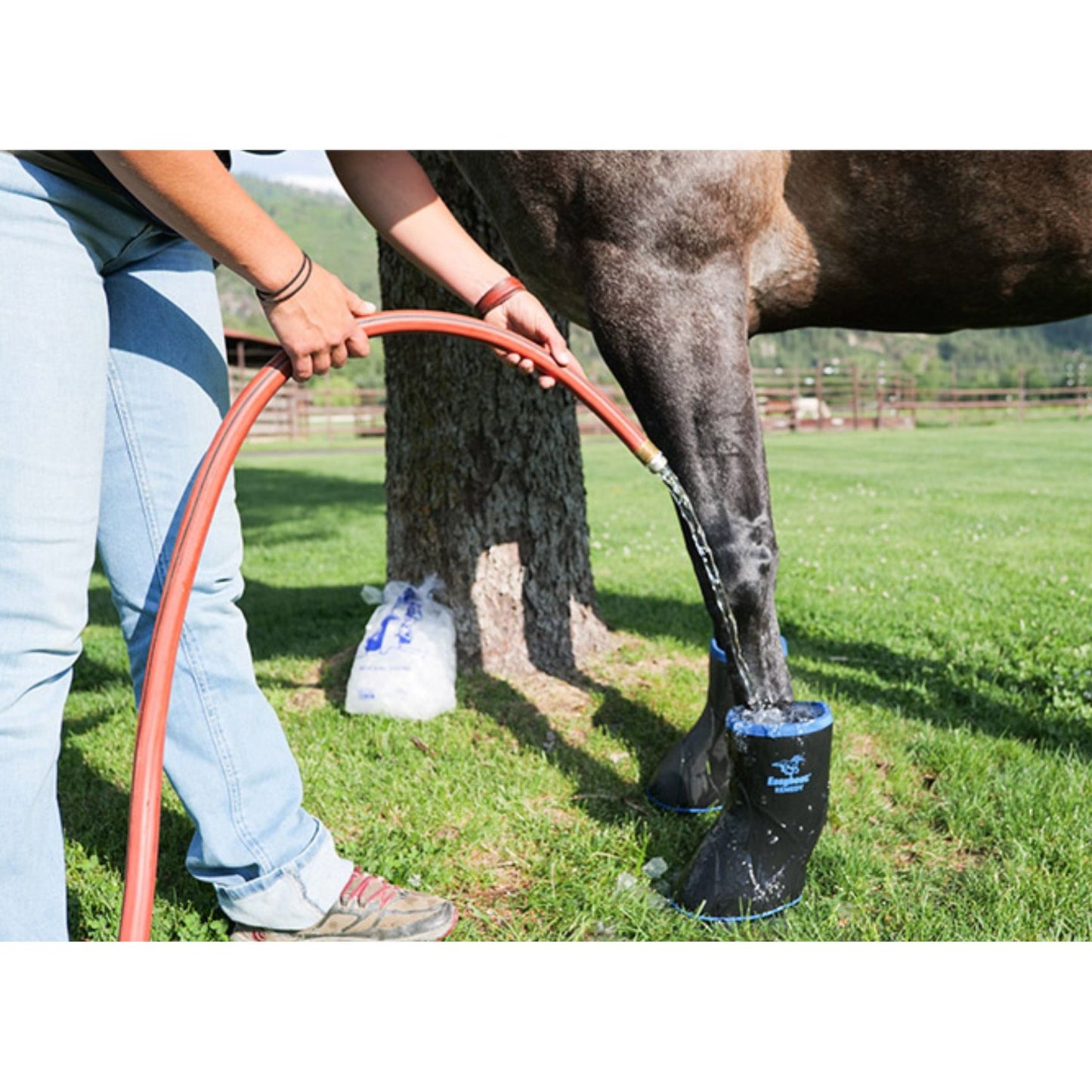 Easyboot Remedy Rehab Boot M SB-EBR