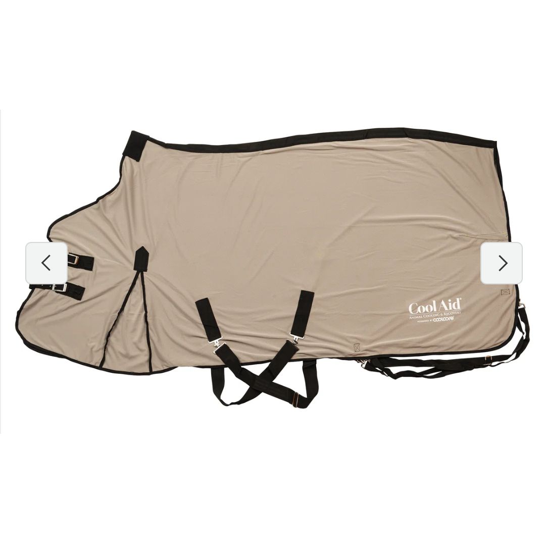 Synergy® by Weaver Powered by Coolcore® Equine Cooling Blanket
-Gray
