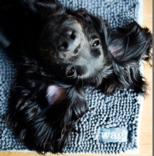 Henry Wag Pet Mat - Microfibre 40748 Large