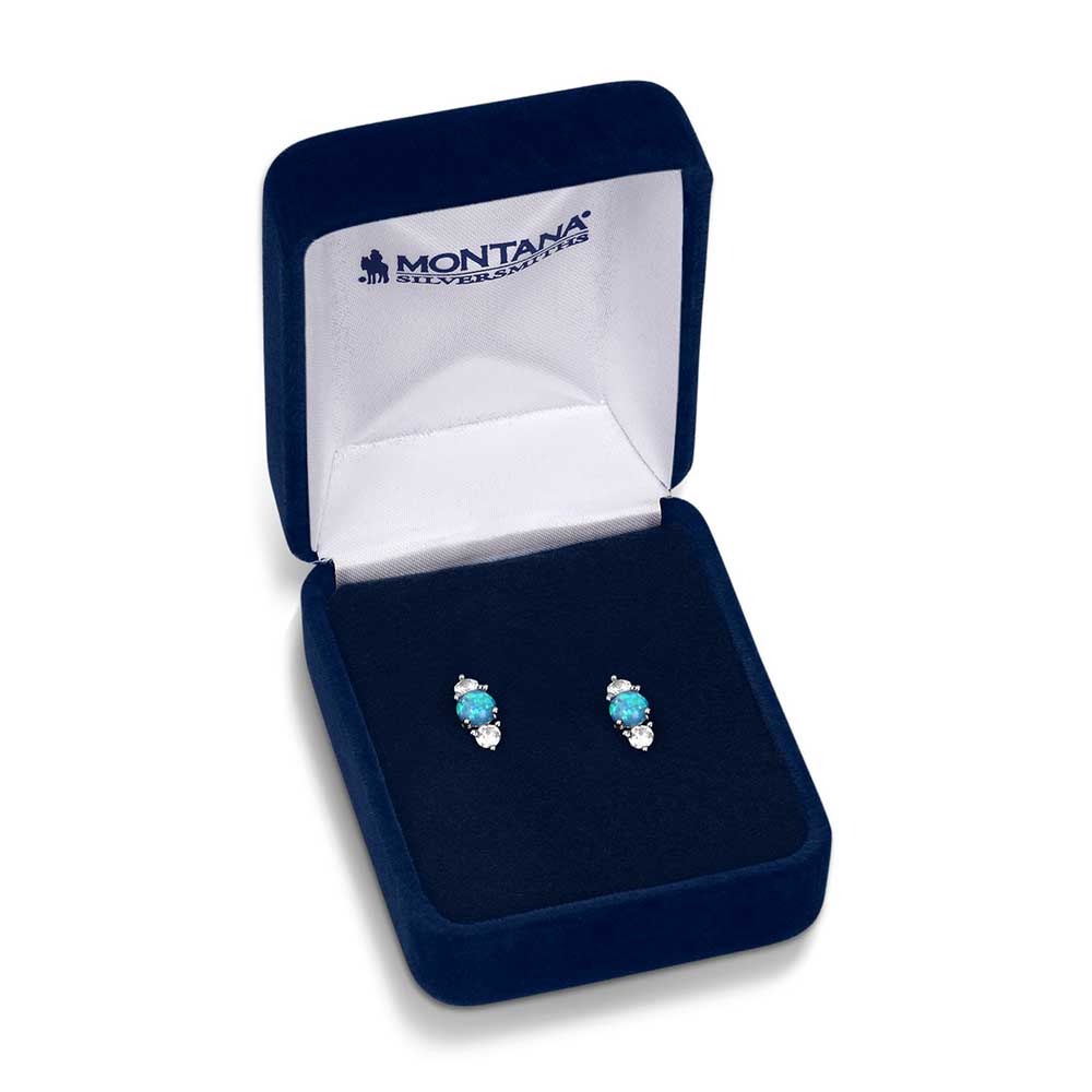 Montana Silversmith Earrings - Delicate Moonlight ER5805