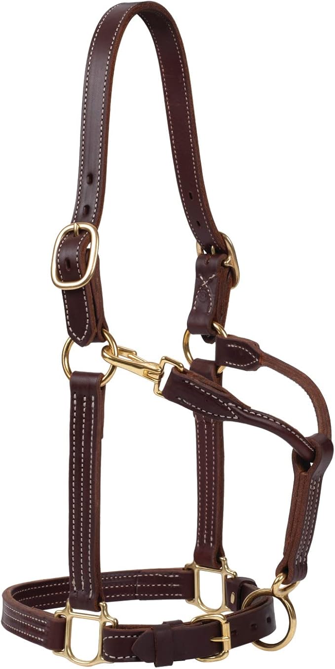 Weaver Leather Halter 1” Harness Leather, Canyon Rose 10800-51-12