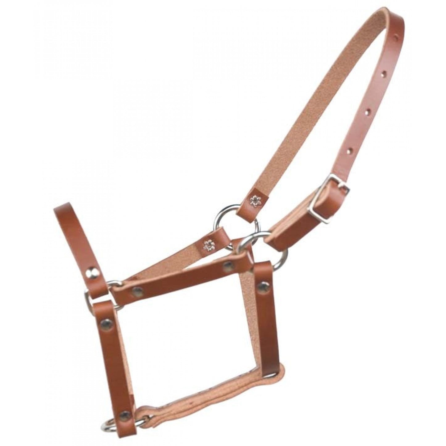 Western Rawhide Foal Halter Leather