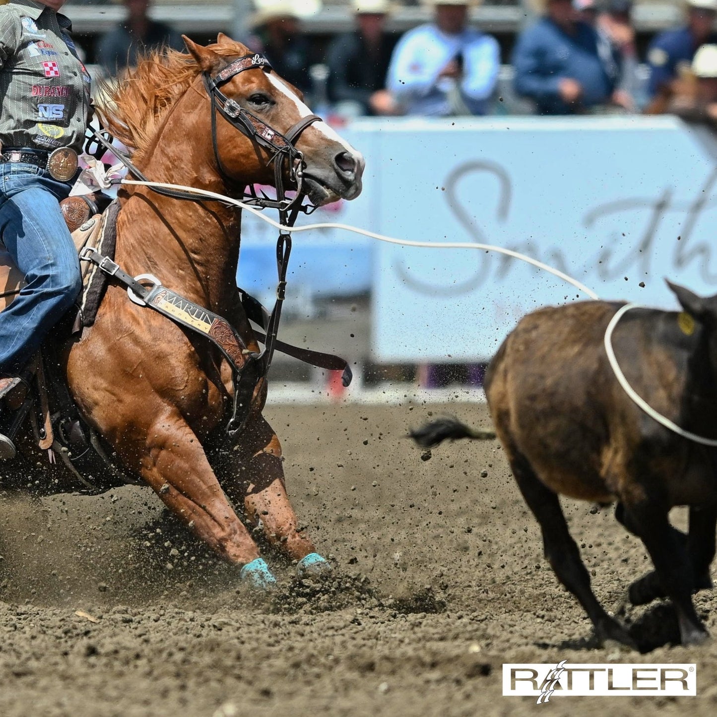 Rattler, Striker Calf Rope 28’