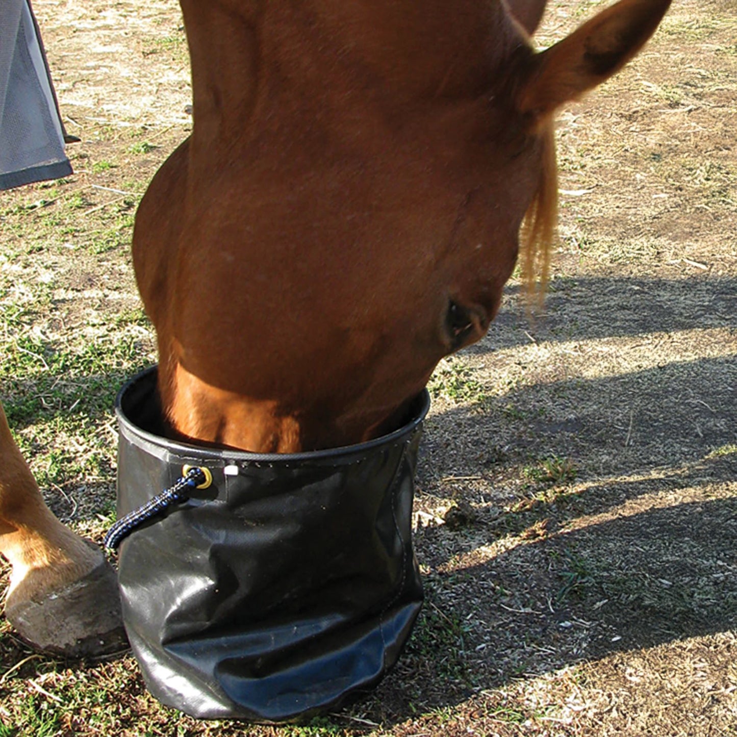 Cashel Collapsible Water Pail CWP-L