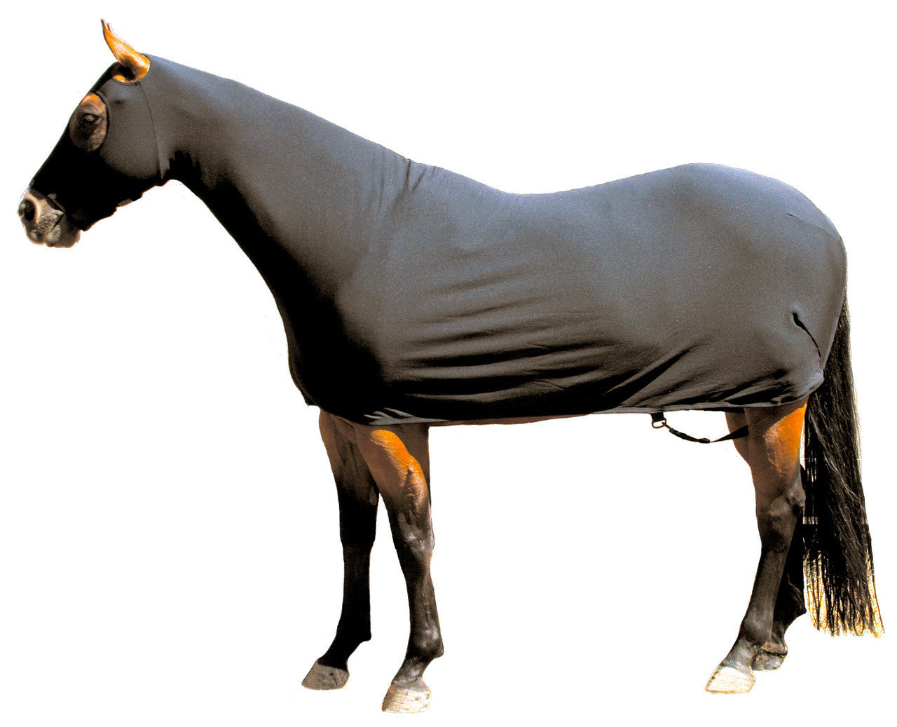 Sleazy Sleepwear Lycra Full Body for Horses, w/ Zipper