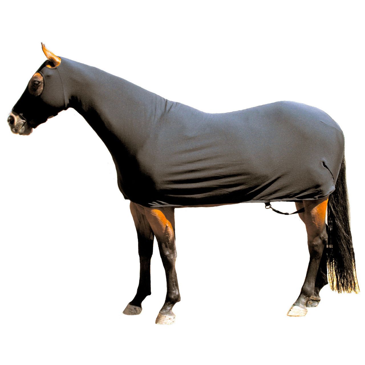 Sleazy Sleepwear Lycra Full Body for Horses, w/ Zipper
