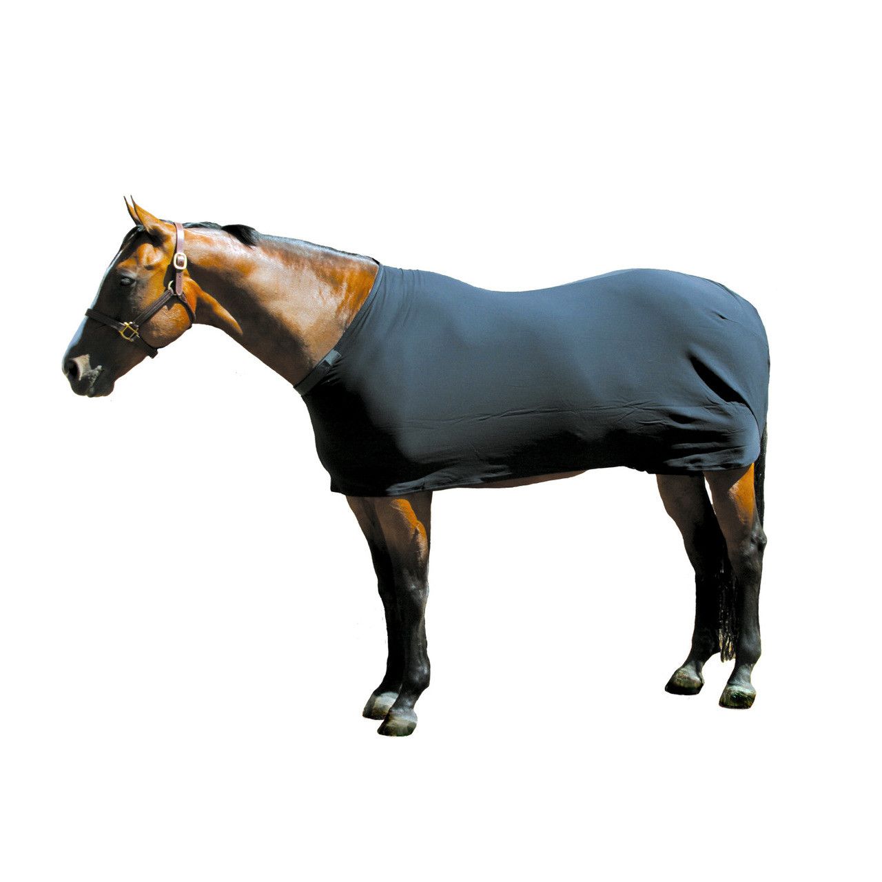 Sleazy Sleepwear Lycra Sheet for Horses,