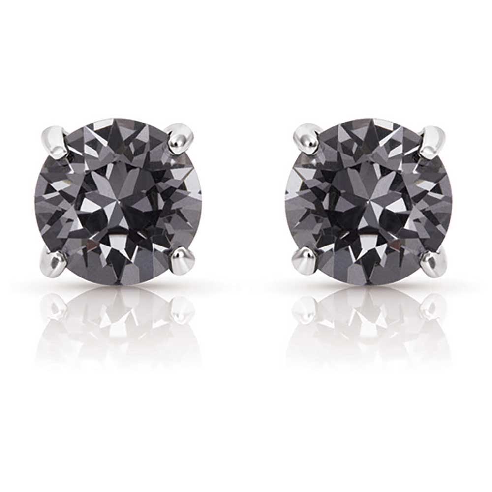 Montana Silversmiths Earrings - Gleaming Northern Lights/Twilight Earrings ER4294SN